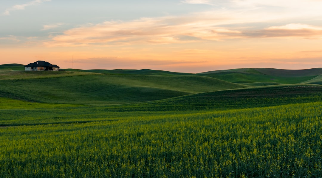 Photo Green fields